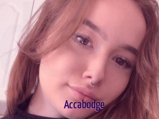 Accabodge