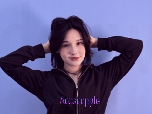 Accacopple