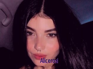 Alicerosi