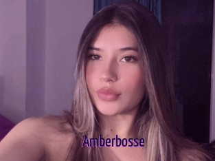 Amberbosse