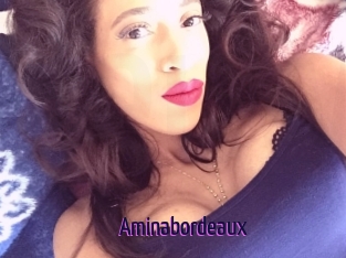 Aminabordeaux