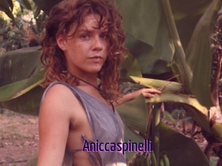 Aniccaspinelli