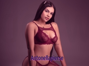 Antonellapierse