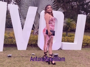 Antonellawilliam