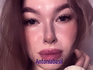 Antoniabasil