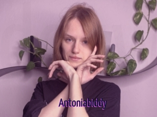 Antoniabiddy