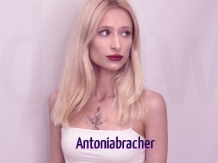 Antoniabracher