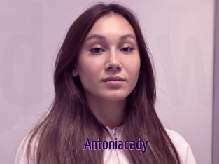 Antoniacady