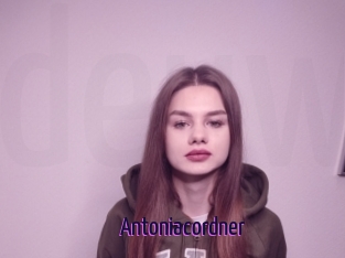 Antoniacordner