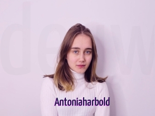 Antoniaharbold