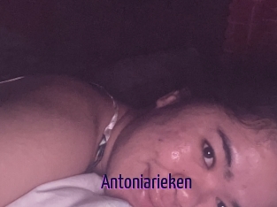 Antoniarieken