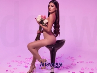 Ariavegga