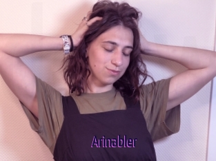 Arinabler