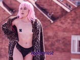 Asshleyrose