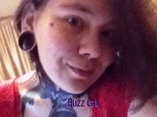 Buzz_Cat