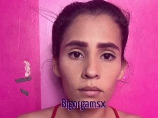 Bigorgamsx