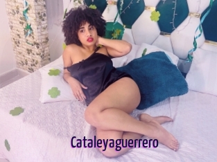 Cataleyaguerrero