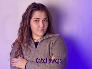 Cateflowers