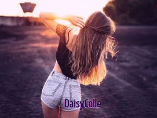 DaisyColle