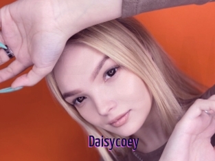 Daisycoey