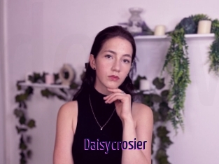 Daisycrosier