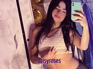 Daisyroses