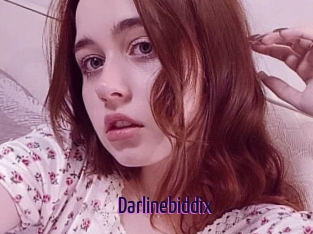 Darlinebiddix