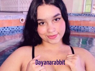 Dayanarabbit