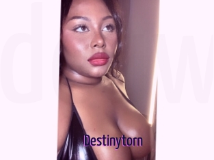 Destinytorn