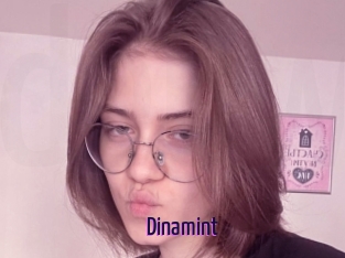 Dinamint