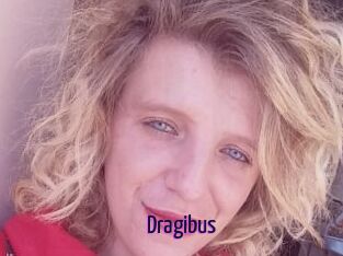 Dragibus