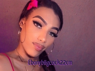 Ebonybiigcock22cm