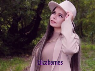 Elizabarnes