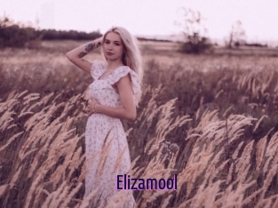 Elizamool