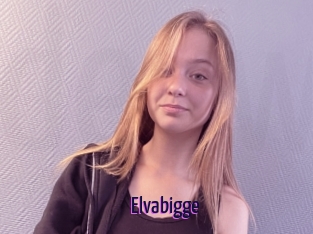 Elvabigge