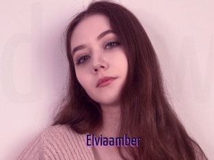 Elviaamber