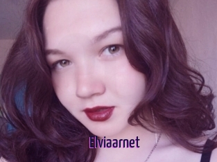 Elviaarnet