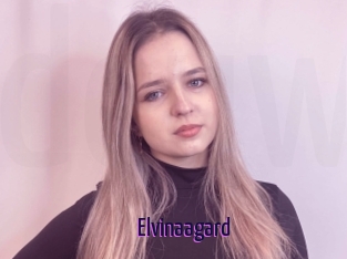 Elvinaagard