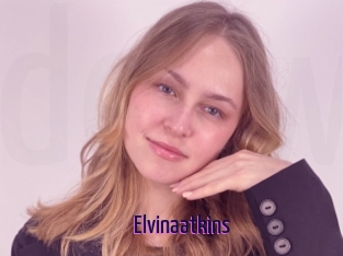 Elvinaatkins