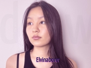 Elvinaborer