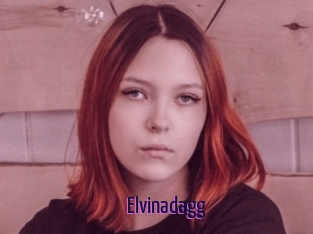 Elvinadagg