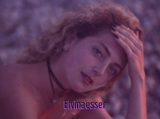 Elvinaesser