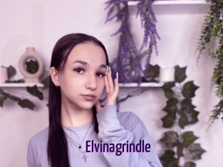 Elvinagrindle