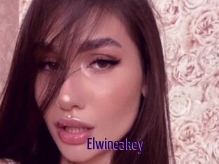 Elwineakey