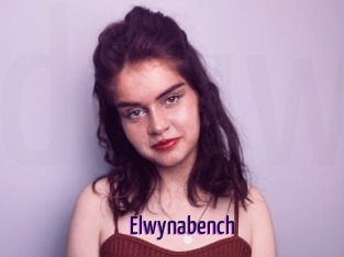 Elwynabench