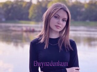 Elwynadunkum