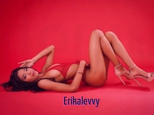 Erikalevvy