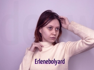 Erlenebolyard