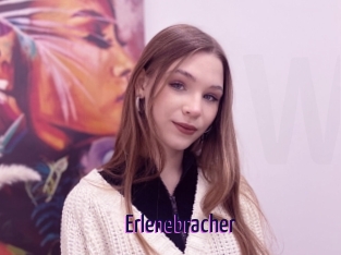 Erlenebracher