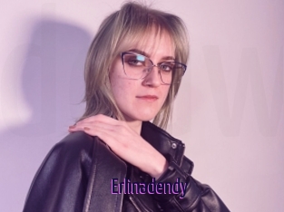 Erlinadendy